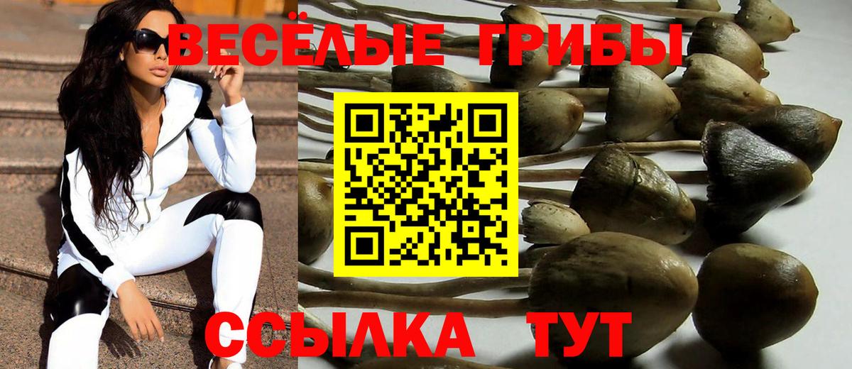 Галлюциногенные грибы MAGIC MUSHROOMS Десногорск