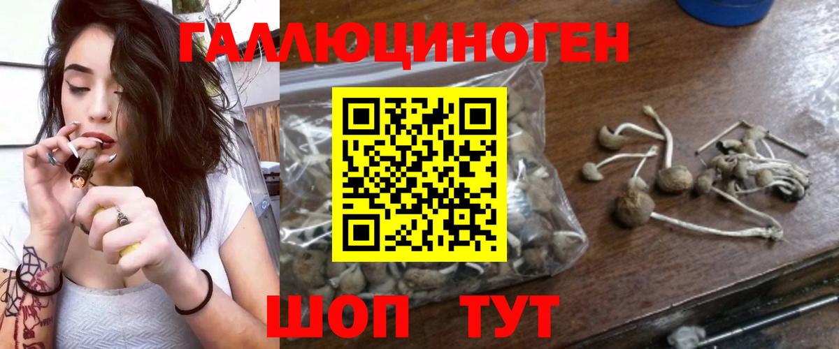 Десногорск  Галлюциногенные грибы ЛСД  купить наркоту  Вход с VPN 